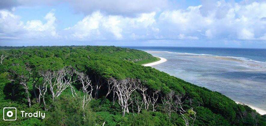 Holiday Special Dive Trip - Best of Southern Andaman Islands