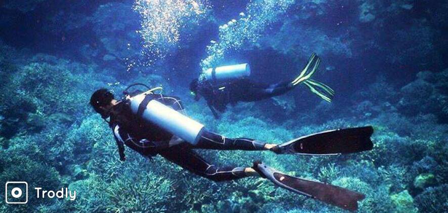 Holiday Special Dive Trip - Best of Southern Andaman Islands