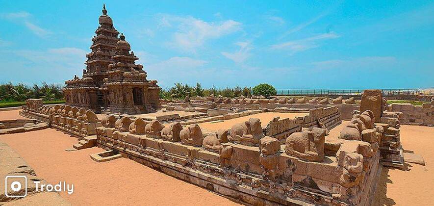 Mahabalipuram and Kanchipuram Day Tour from Chennai for Big Group (Tempo Traveller)