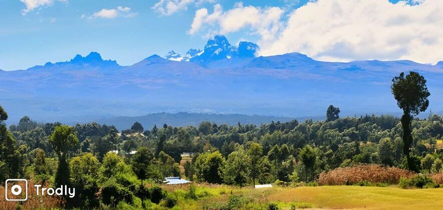 Mt Kenya Day Hike Tour from Nanyuki