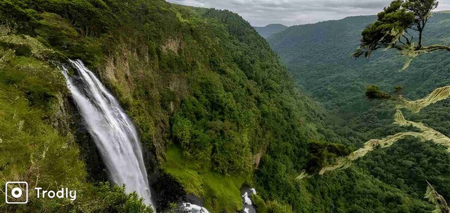 Aberdare National Park Day Trip from Nanyuki