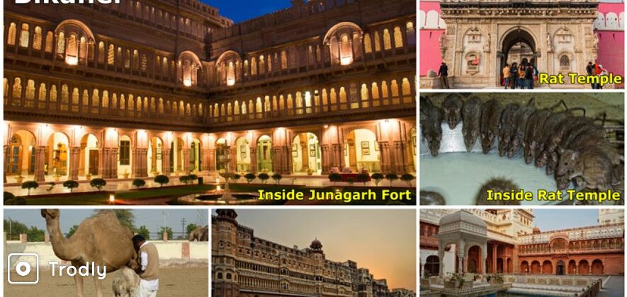 9-Day Royal Rajasthan Tour: Explore Jaipur, Udaipur, Jodhpur, Jaisalmer & Bikaner