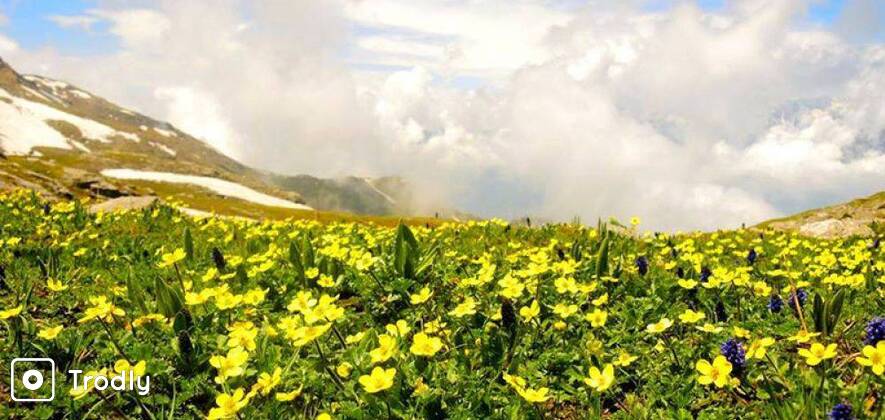 Bhrigu Lake 4-Day Trek