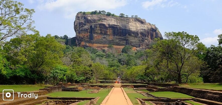 Sigiriya Rock & Wild Elephant Safari at Minneriya National Park Day Tour from Colombo