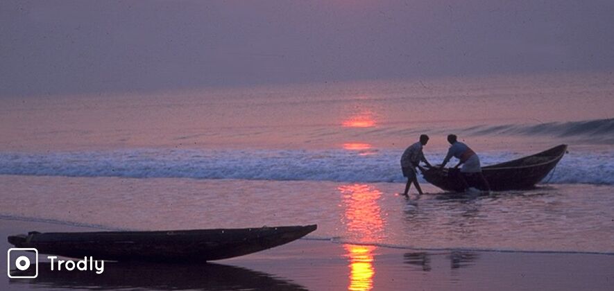 Explore Bhitarkanika National Park from Bhubaneswar – Odisha Wildlife Day Tour