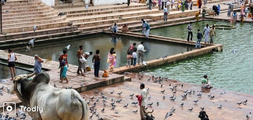 Pushkar City Sightseeing Guided Day Tour from Jaipur