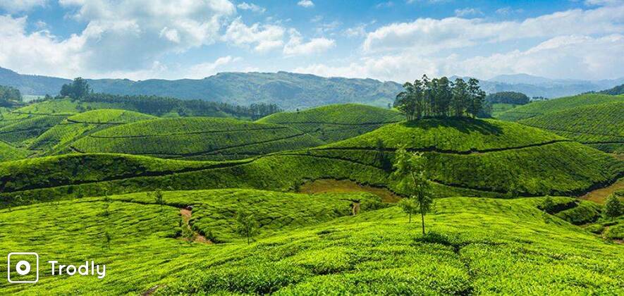 2N/3D Munnar Holiday