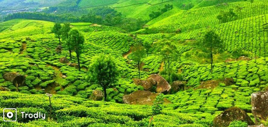 2N/3D Munnar Holiday