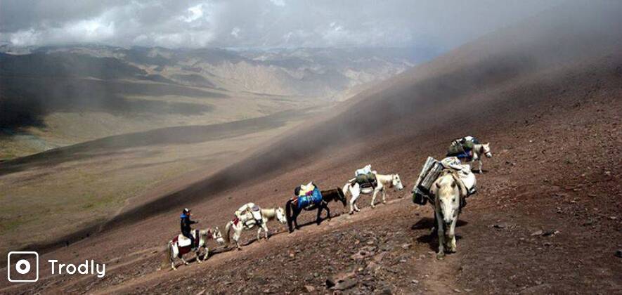 Kang Yatse II Summit Expedition