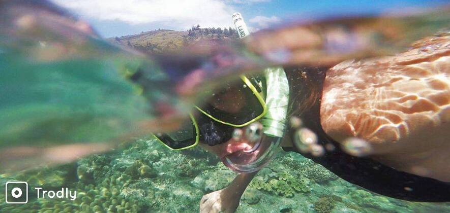 Bat Island Boat Trip and Snorkeling