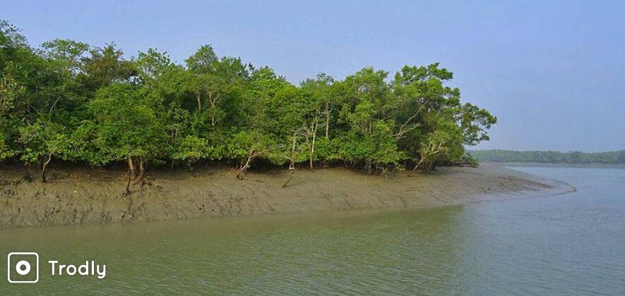 Bakkhali & Sundarban Tour
