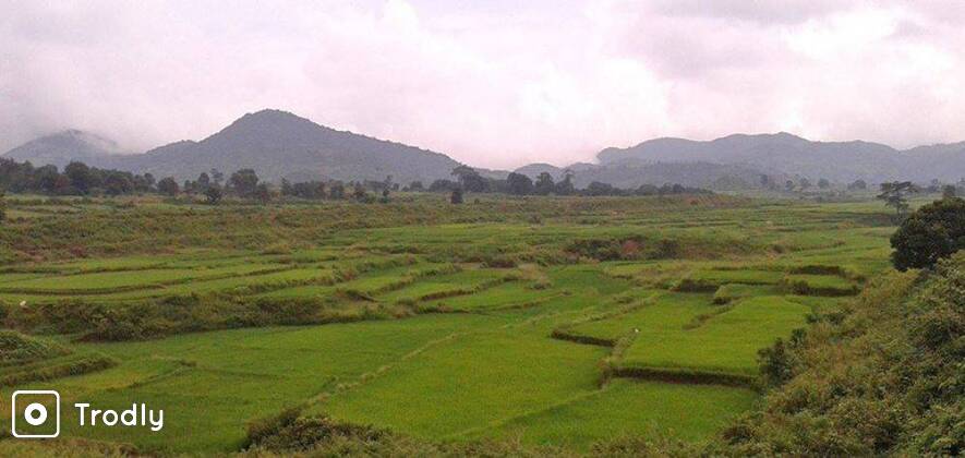 Explore Lambasingi & Araku Valley 2N/3D