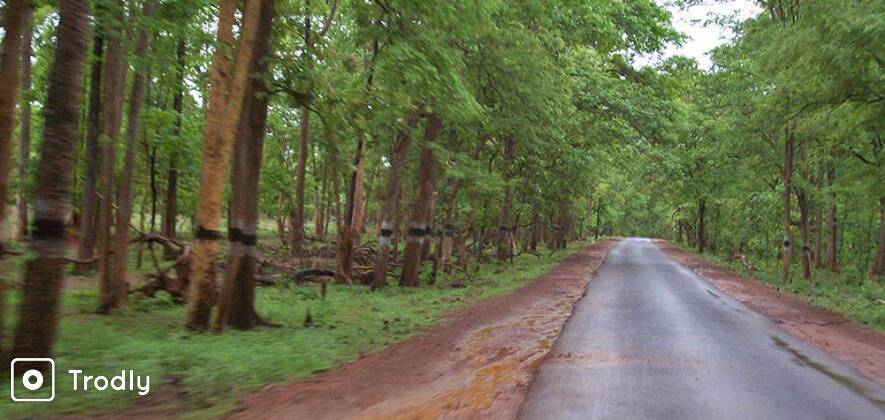 Explore Lambasingi & Araku Valley 2N/3D