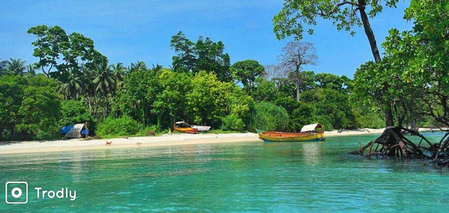 Neil Island Cruise and Neil Beaches Trip from Port Blair