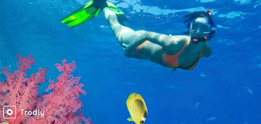 Magical Andaman: 4 Days Honeymoon Package