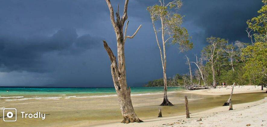 Magical Andaman: 4 Days Honeymoon Package
