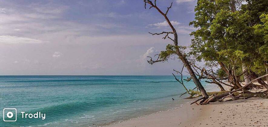 Magical Andaman: 4 Days Honeymoon Package