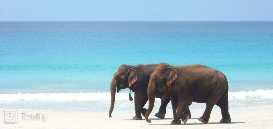 Enchanting Andamans - 5 Days Package