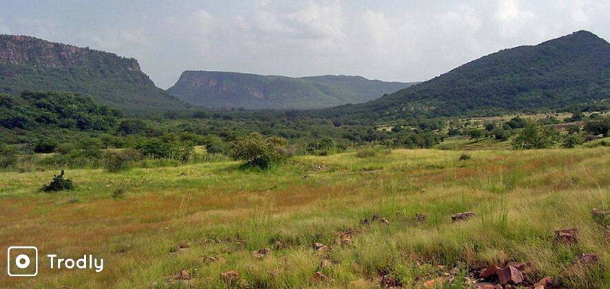 Ranthambore National Park Jeep Safari