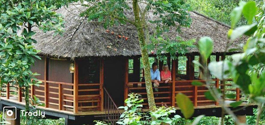 Munnar Tree House Honeymoon - 2 Nights/ 3 Days