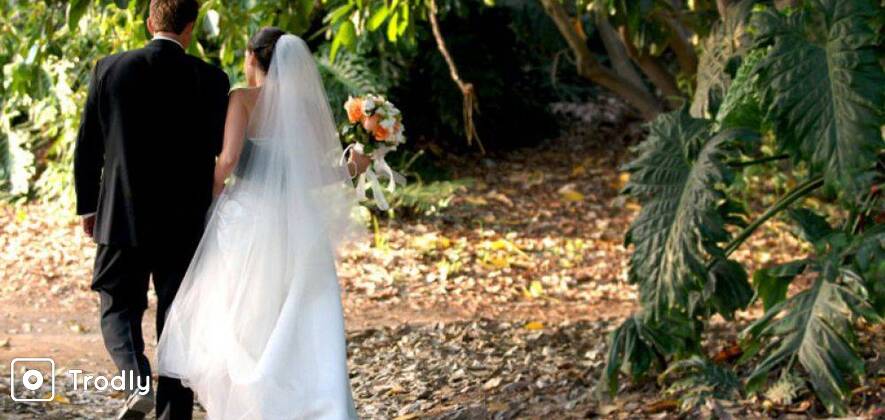 Munnar Tree House Honeymoon - 2 Nights/ 3 Days