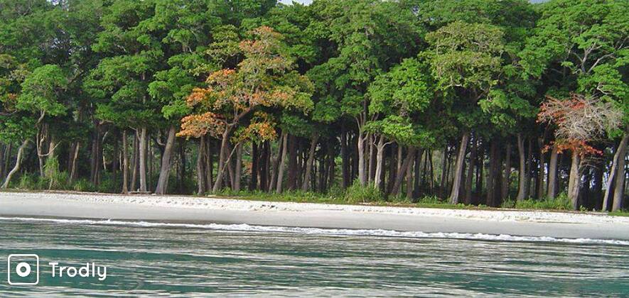 Rangat, Mayabunder with Private Boat Charter to Avis Island