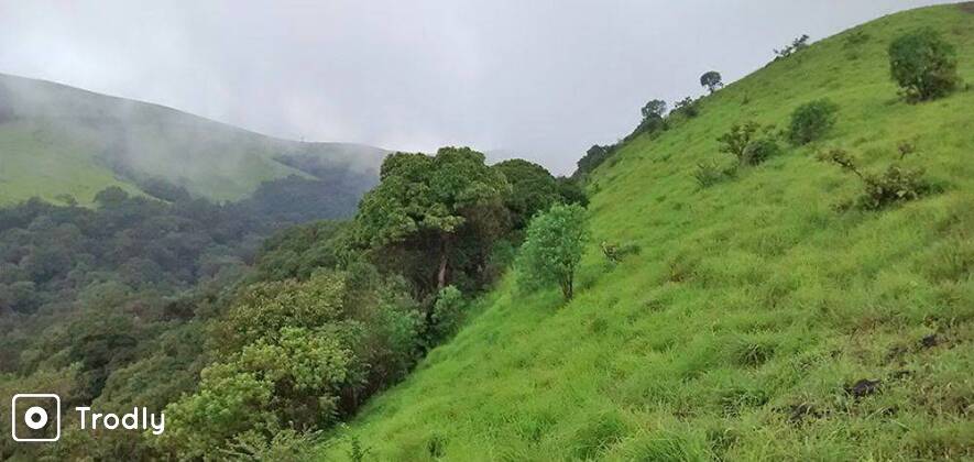Kodachadri Trek
