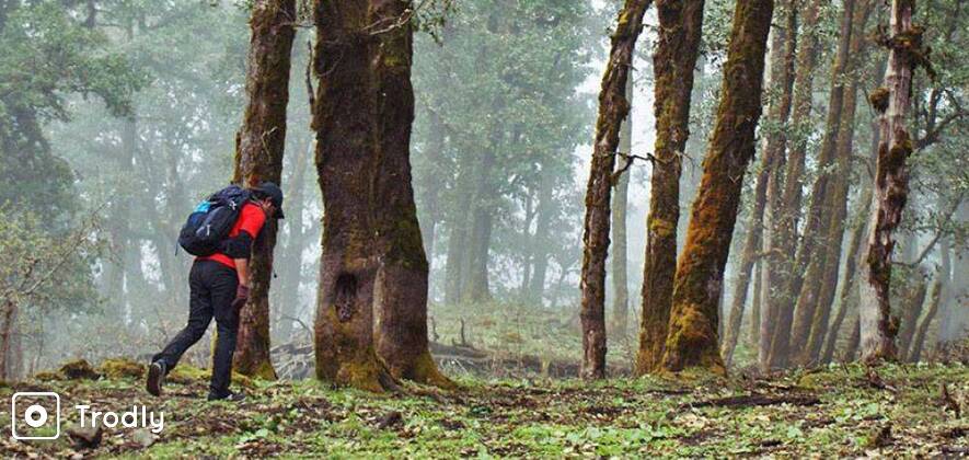 Trek To Devban From Dehradun