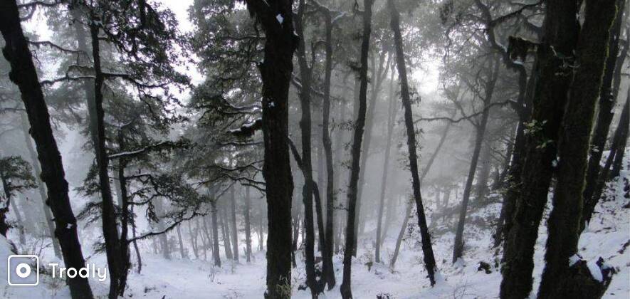 Trek To Devban From Dehradun