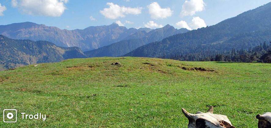 Deoriatal, Chopta & Chandrashila Trek-5 Days