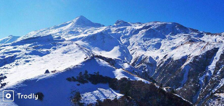 Kuari Pass and Pangarchulla Peak Trek