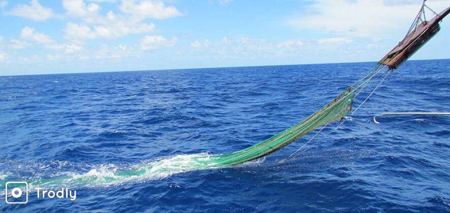 Trawling Fishing (Deep Sea) in Goa