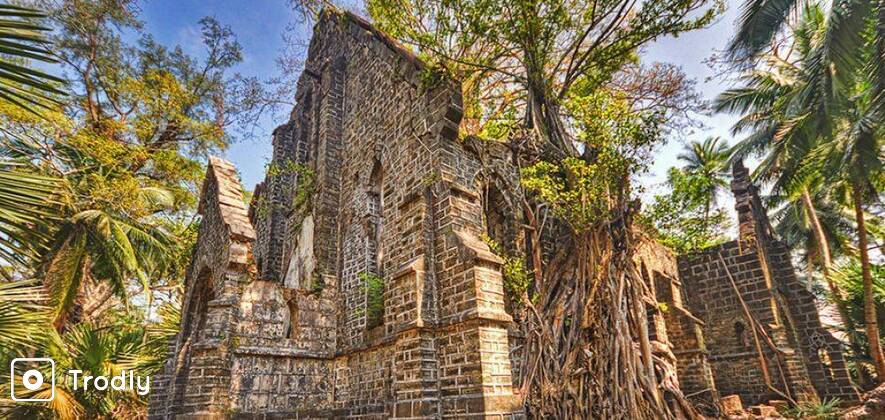 Enchanting Andamans - 7 Days Package