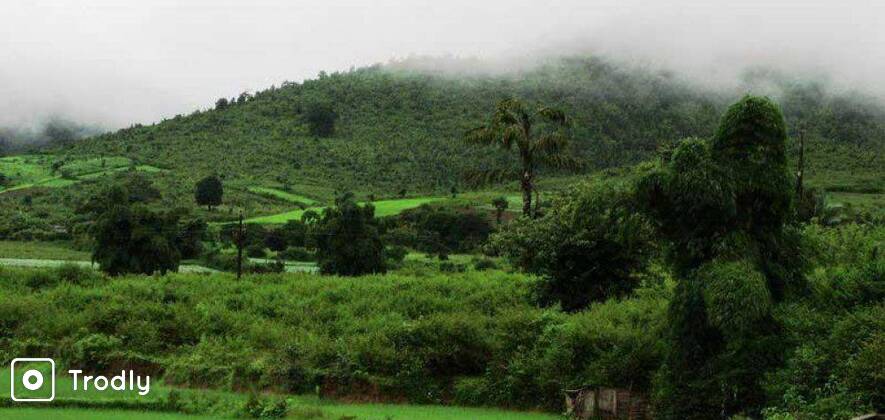 Daringbadi - Taratarini Temple Sightseeing (3Days/2Nights)