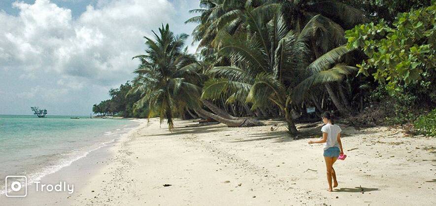 Heavenly Andaman: 5 Days Honeymoon Package