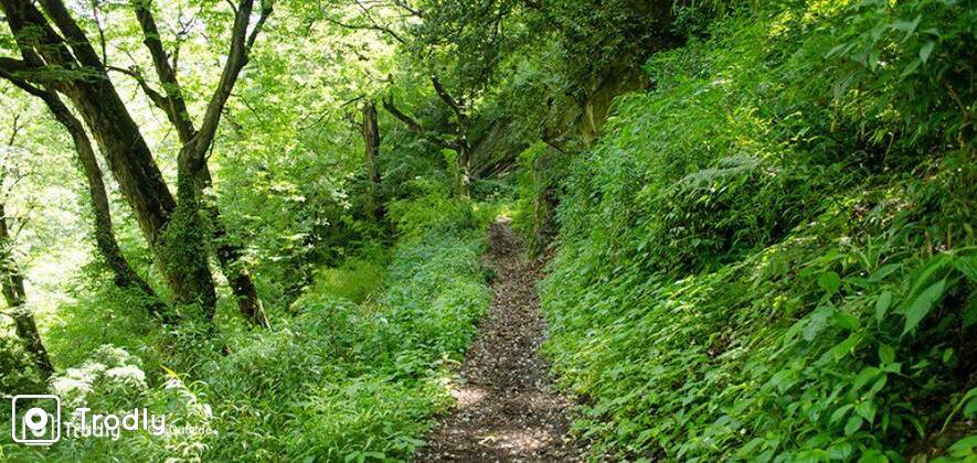 Shilt Hut Trek in GHNP - Tirthan Valley