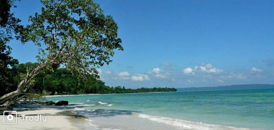 Havelock Island Day Trip from Port Blair by Private Ferry
