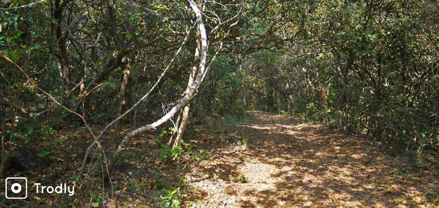 Bike Ride to Phansad and Murud Janjira