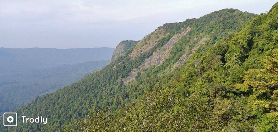 Rainforest Exploration Tour to Agumbe