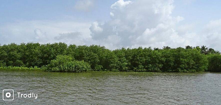 Camping Trip to Oyster Island, Karwar