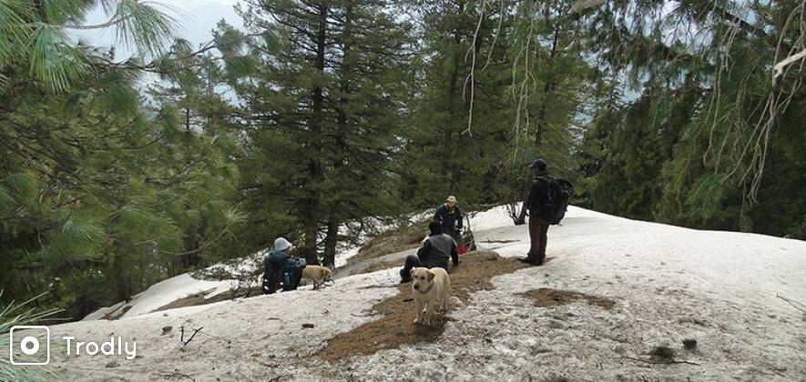 Snow Camping and Photography Hiking in Manali