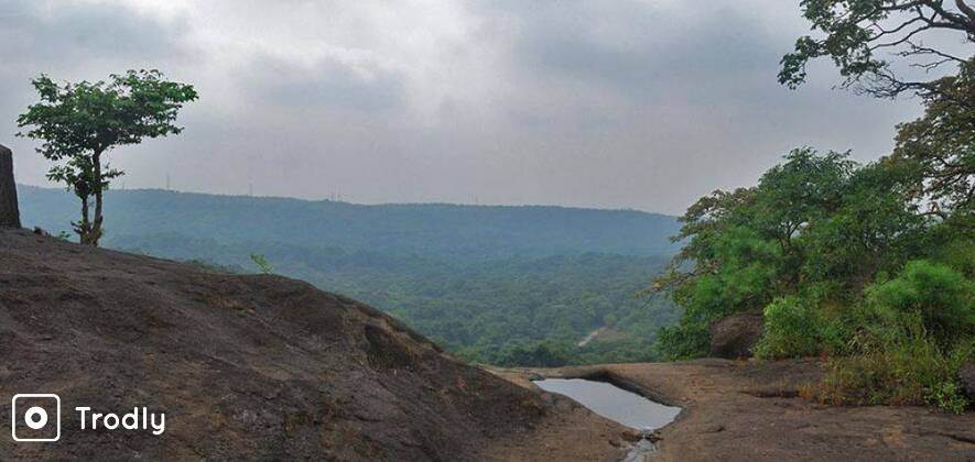Kanheri Caves Half-Day Trip from Mumbai