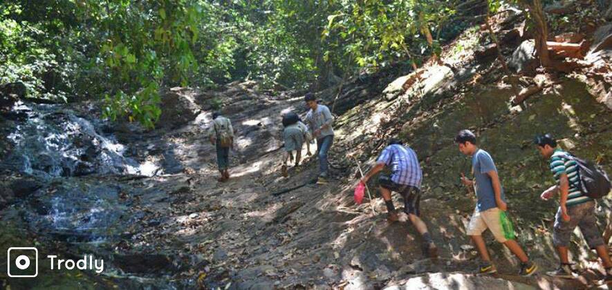 Kodachadri Trek