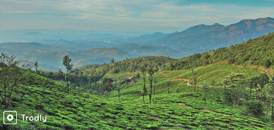 Chembra Peak Trek from Bangalore