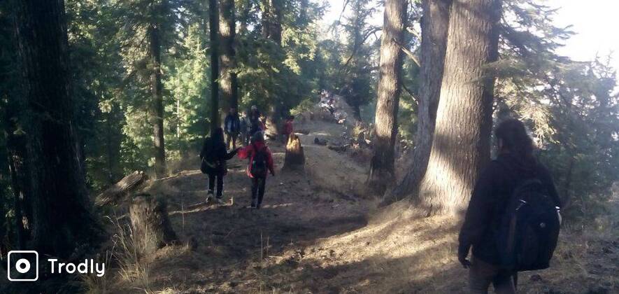 Manali Pir Panjal Trek