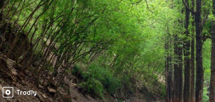 Mussoorie | Dhamba | Rishikesh Cycling circuit