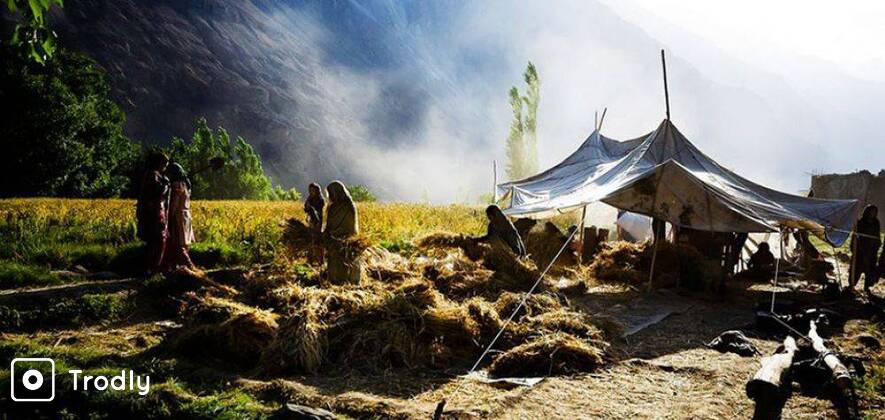 Guided Photography Trip To Ladakh