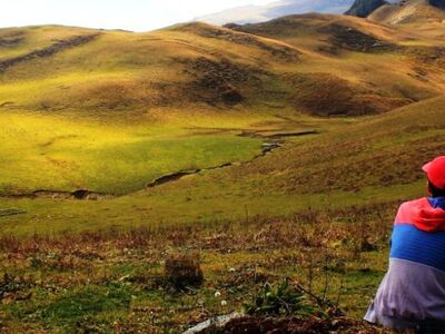 Dayara Bugyal Trek From Dehradun