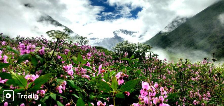 Valley Of Flower Trek From Dehradun