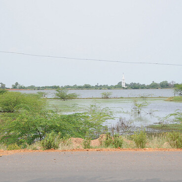 Ariyakulam Bird Sanctuary